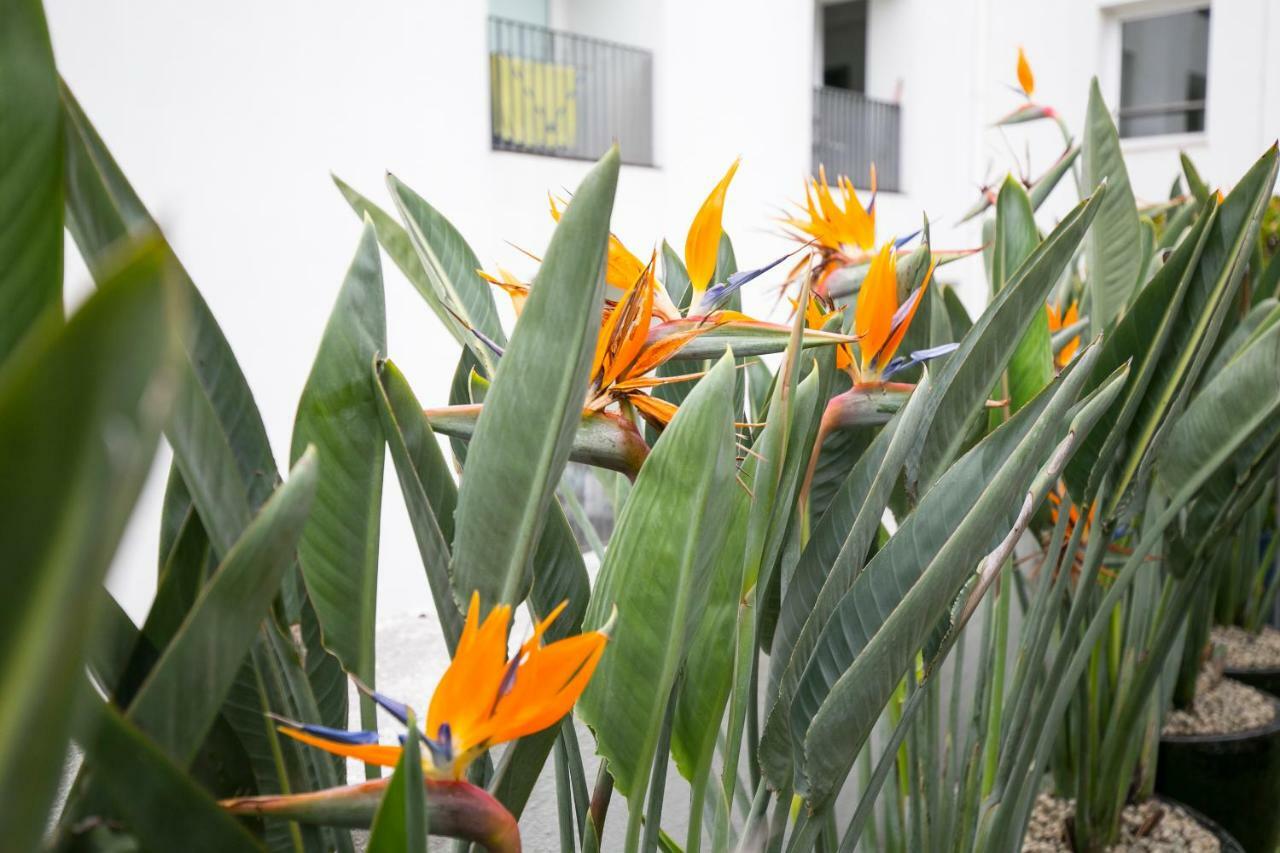 Lisbon Downtown Apartment Free Parking Eksteriør bilde